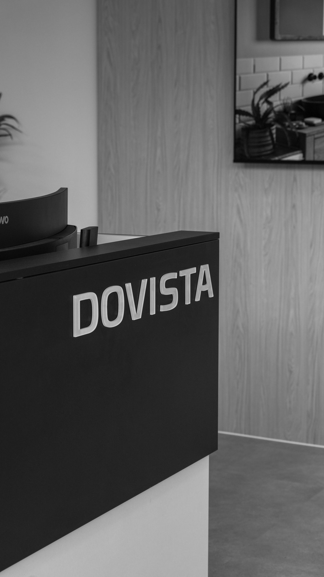 Dovista 29