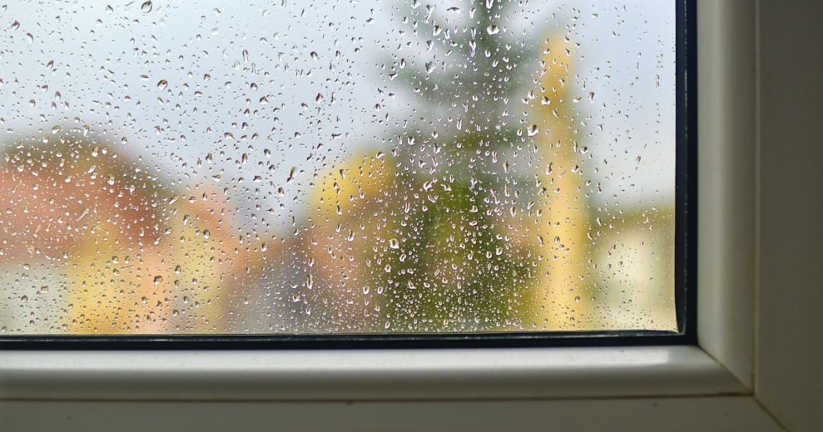 Rain-covered windowpane with water droplets in focus, looking out onto blurred suburban houses and a tree on a grey day.